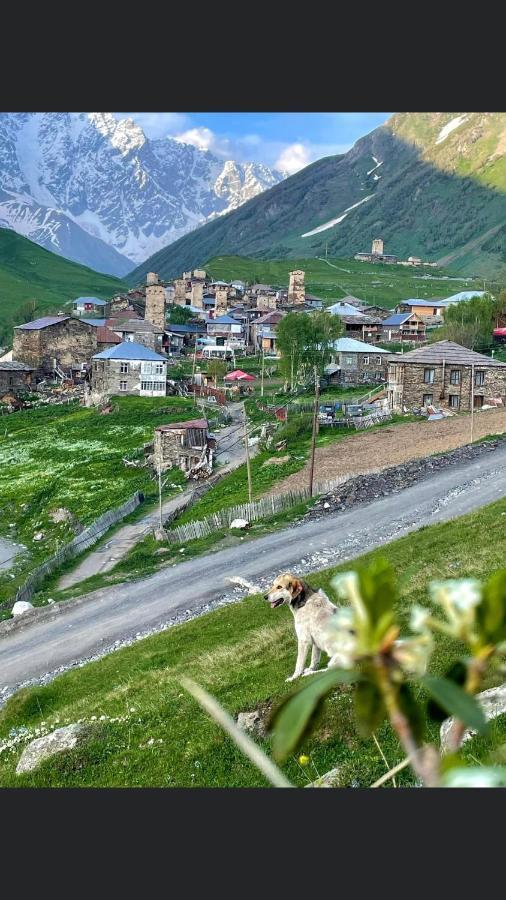 Chvibiani Guesthouse & Bar Ushguli Ngoại thất bức ảnh
